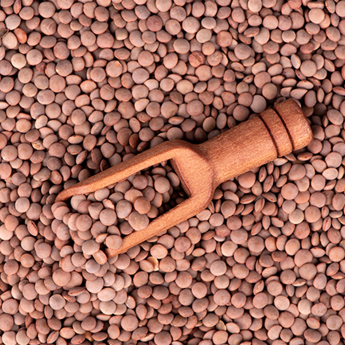 EL-BASHA Brown Lentils