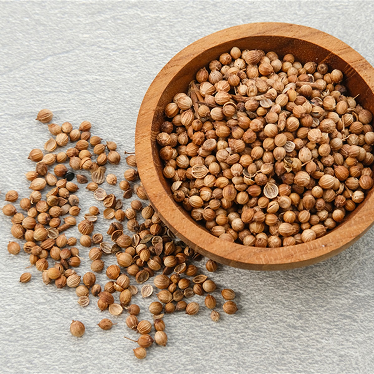 EL-BASHA Coriander