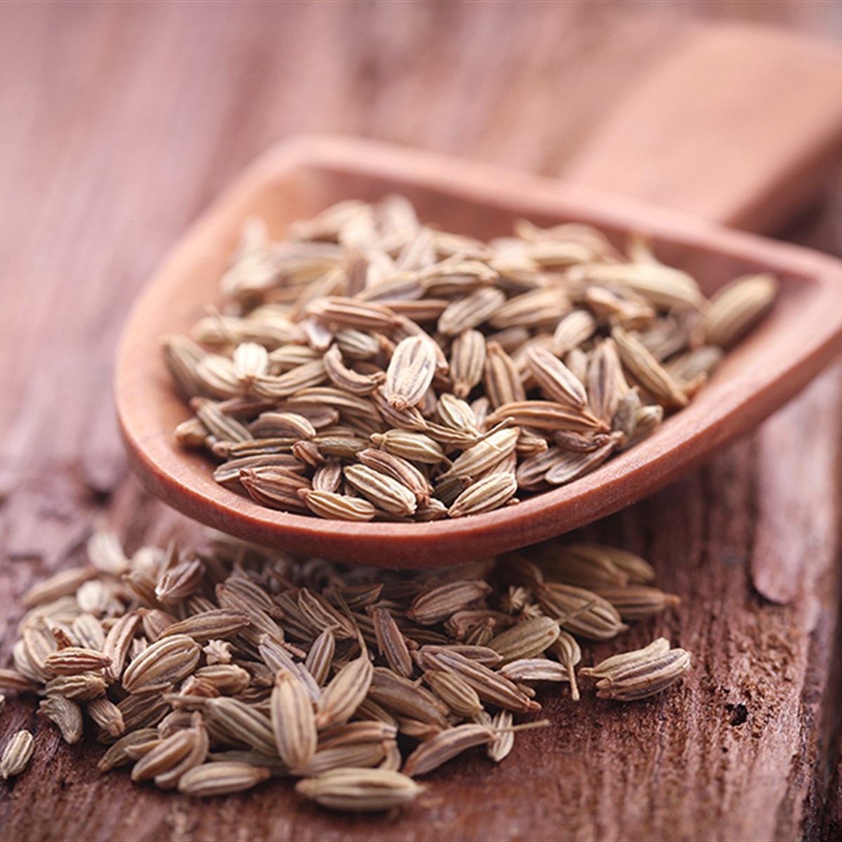 EL-BASHA Fennel