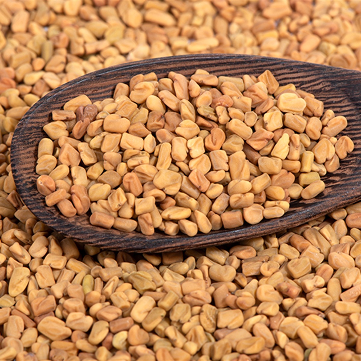 EL-BASHA Fenugreek