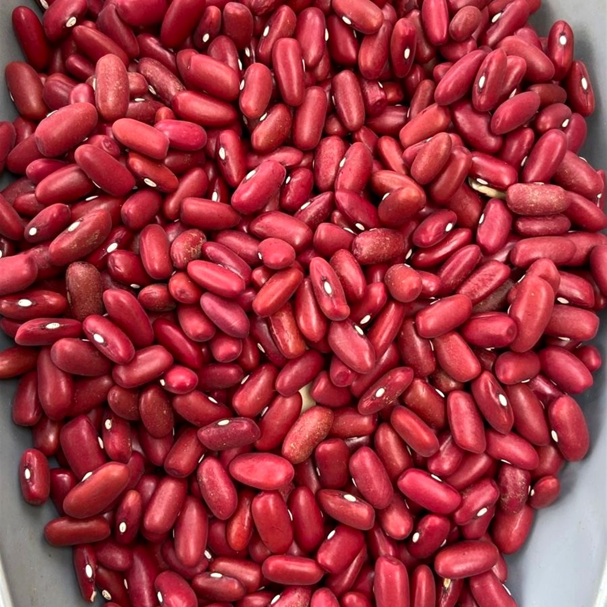 EL-BASHA Red Beans