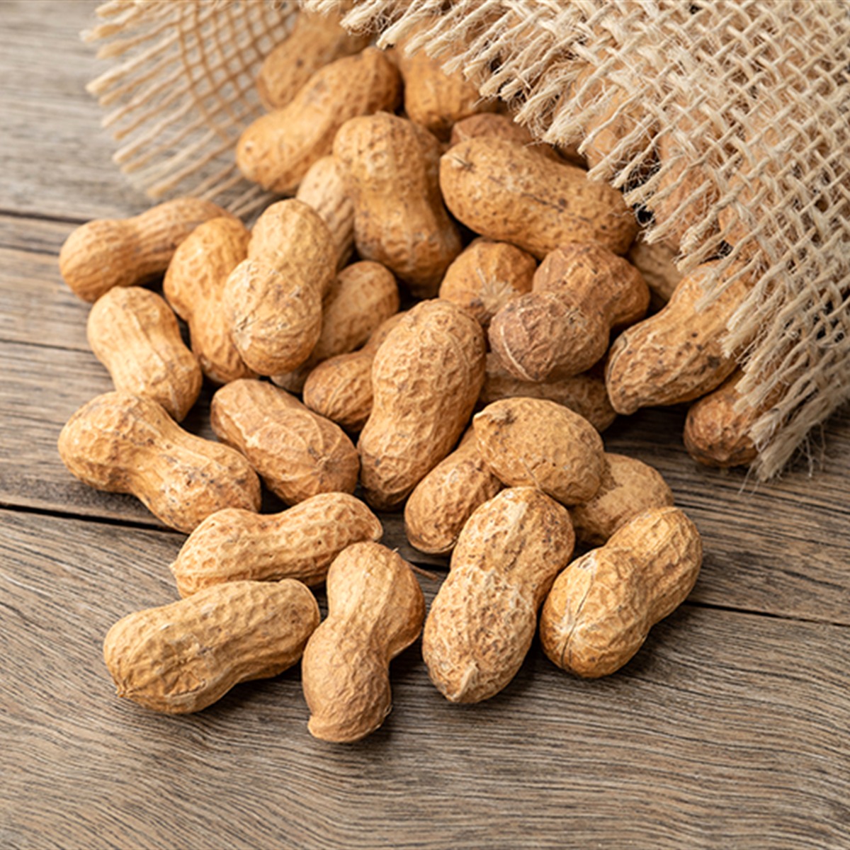EL-BASHA In-Shell Peanuts